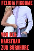 Von der Hausfrau zur Bürohure (eBook, ePUB)