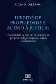 Direito de propriedade e acesso à justiça (eBook, ePUB)