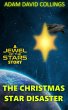 The Christmas Star Disaster (eBook,... - Bild 1