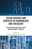 Social Bridges and Contexts in Criminology and Sociology (eBook, ePUB)