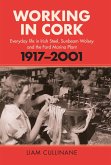 Working in Cork (eBook, ePUB)