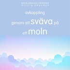 Avkoppling genom att flyta på ett moln (MP3-Download)