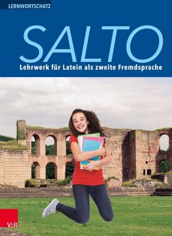 Salto Lernwortschatz - Haselmann, Henning;Hennerici, Francis;Jitschin, Peter