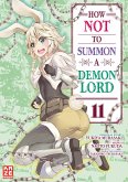 How NOT to Summon a Demon Lord Bd.11