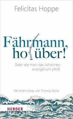 Fährmann, hol über! (eBook, ePUB) - Hoppe, Felicitas