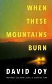 When These Mountains Burn (eBook, ePUB)