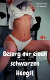 Besorg mir einen schwarzen Hengst (eBook, ePUB) Besorg mir einen schwarzen Hengst (eBook, ePUB)