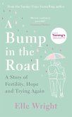 A Bump in the Road (eBook, ePUB)