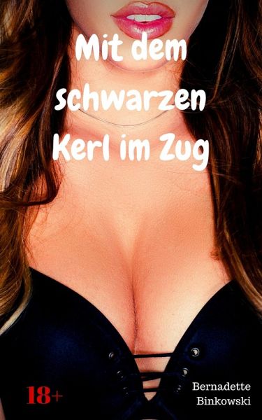 Mit dem schwarzen Kerl im Zug (eBook, ePUB)