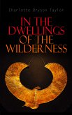 In the Dwellings of the Wilderness (eBook, ePUB)