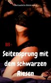 Seitensprung mit dem schwarzen Riesen (eBook, ePUB)