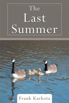 The Last Summer (eBook, ePUB) - Karkota, Frank