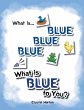 What Is Blue Blue Blue-What is Blue To... - Bild 1