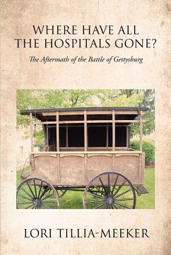 Where Have All the Hospitals Gone? (eBook, ePUB)