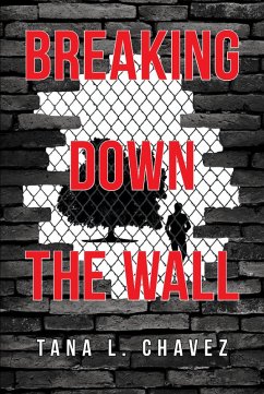 Breaking Down the Wall (eBook, ePUB)