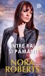 Intre rai si pamant (eBook, ePUB) - Bild 1