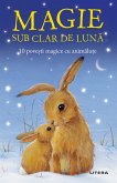 Magie Sub Clar De Luna (eBook, ePUB)
