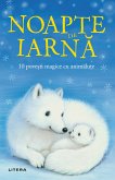 Noapte De Iarna (eBook, ePUB)