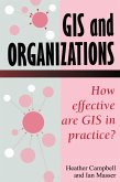 GIS In Organizations (eBook, ePUB)