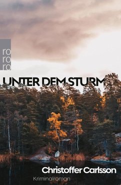 Unter dem Sturm (eBook, ePUB) - Carlsson, Christoffer