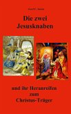 Die zwei Jesusknaben und ihr Heranreifen zum Christus-Träger (eBook, ePUB)