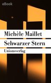 Schwarzer Stern (eBook, ePUB)