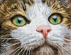 Diamond Dotz 2591505 - Diamond Painting Katze mit grünen Augen