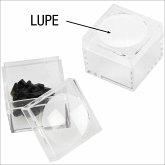 Sammelbox aus Kunststoff mit Lupe im Deckel, 2er Set