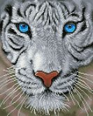 DIAMOND DOTZ - Diamond Painting Weisser Tiger DIAMOND DOTZ - Diamond Painting Weisser Tiger