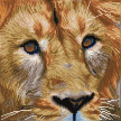 Cover Diamond Dotz 2591503 - Diamond Painting Löwe
