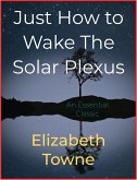 Just How to Wake The Solar Plexus (eBook, ePUB)