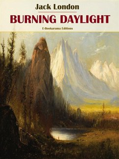Cover Burning Daylight (eBook, ePUB)