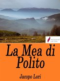 La Mea di Polito (eBook, ePUB)