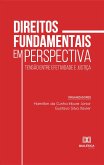 Direitos fundamentais em perspectiva (eBook, ePUB)