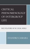 The Critical Phenomenology of Intergroup Life (eBook, ePUB)