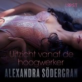 Uitzicht vanaf de hoogwerker (MP3-Download)