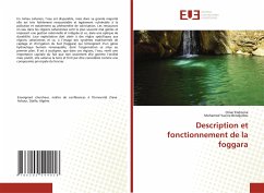 Description et fonctionnement de la foggara - Elahcene, Omar;Bendjedou, Mohamed Yacine