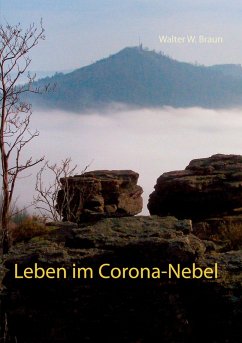 Leben im Corona-Nebel (eBook, ePUB)