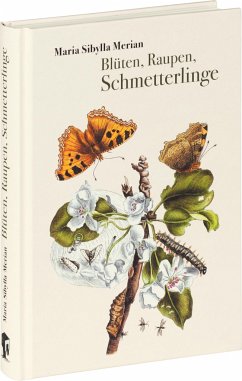 Blüten, Raupen, Schmetterlinge - Merian, Maria Sibylla