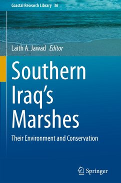 Southern Iraq's Marshes