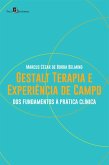 Gestalt-terapia e experiência de campo (eBook, ePUB)