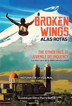 Broken Wings Alas Rotas (eBook, ePUB)