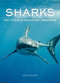 Sharks (eBook, ePUB) - Zellner, Jenni