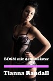 BDSM mit dem Meister (eBook, ePUB)