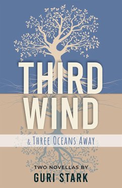 Third Wind (eBook, ePUB) - Stark, Guri