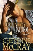 Country Storm (King Creek Cowboys, #3) (eBook, ePUB)