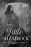 Sweet Little Shamrock (The Shamrock Romances, #2) (eBook, ePUB)