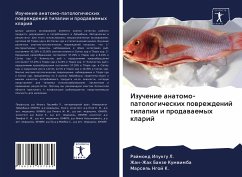 Izuchenie anatomo-patologicheskih powrezhdenij tilapii i prodawaemyh klarij - Ipungu L., Räjmond;Banze Kumwimba, Zhan-Zhak;Ngoj K., Marsel'