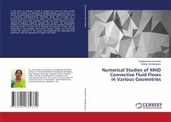 Numerical Studies of MHD Convective Fluid Flows in Various Geometries - Suneetha, Sangapatnam;Subbarayudu, Ketineni