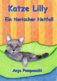 Katze Lilly - Ein tierischer Notfall (eBook, ePUB)